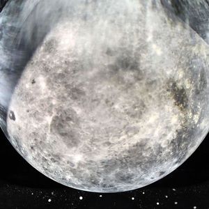 Meet your Posher, Karina